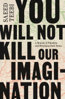 book cover for You Will Not Kill Our Imagination