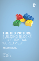 book cover for The Big Picture