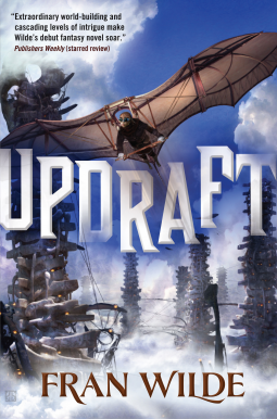 book cover for Updraft
