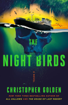 book cover for The Night Birds