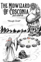 book cover for The Midwizard of Cosconia