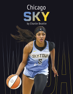 book cover for Chicago Sky
