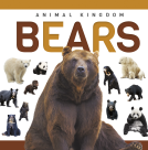 book cover for Bears