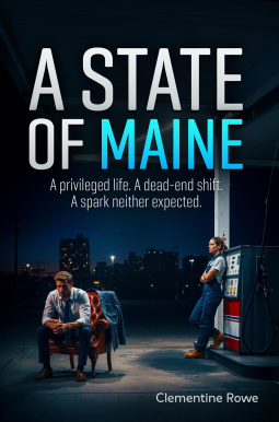 book cover for A State of Maine