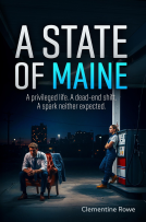 book cover for A State of Maine