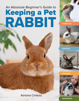 book cover for An Absolute Beginner's Guide to Keeping a Pet Rabbit
