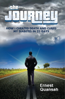 book cover for The Journey