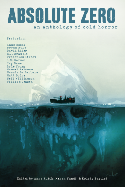 book cover for Absolute Zero