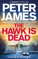 book cover for The Hawk Is Dead