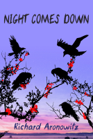 book cover for Night Comes Down