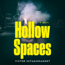book cover for Hollow Spaces