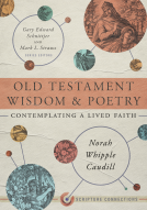 book cover for Old Testament Wisdom and Poetry
