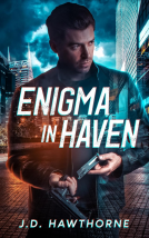 book cover for Enigma in Haven