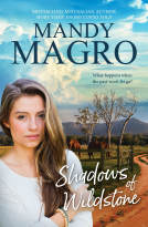 book cover for Shadows of Wildstone