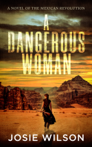 book cover for A Dangerous Woman