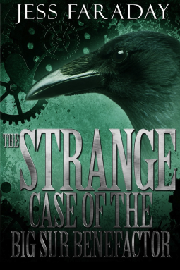 book cover for The Strange Case of the Big Sur Benefactor