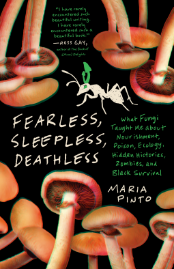 book cover for Fearless, Sleepless, Deathless
