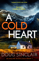 book cover for A Cold Heart