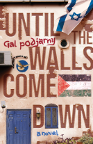 book cover for Until the Walls Come Down