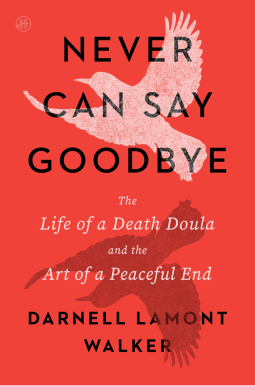 book cover for Never Can Say Goodbye