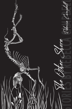 book cover for The Other Shore: Stories