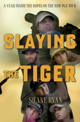 book cover for Slaying the Tiger