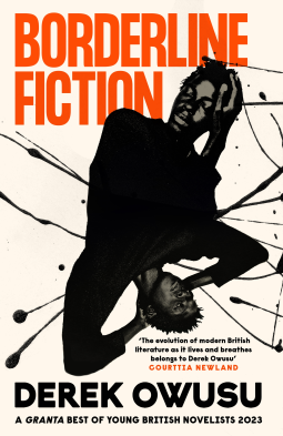 book cover for Borderline Fiction