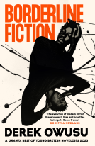 book cover for Borderline Fiction