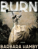 book cover for Burn