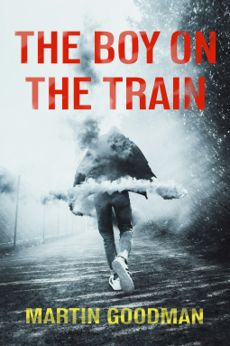 book cover for The Boy on the Train