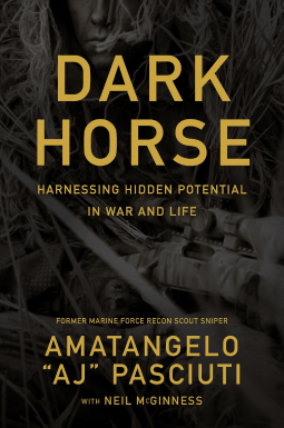 book cover for Darkhorse