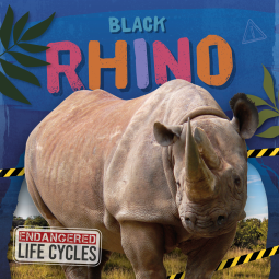 book cover for Black Rhino