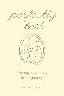 book cover for Perfectly Knit