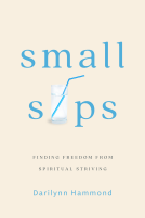 book cover for Small Sips