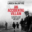 book cover for An Accidental Villain