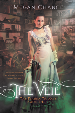 book cover for The Veil