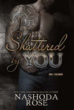book cover for Shattered by You