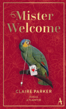 Buchcover für Mister Welcome