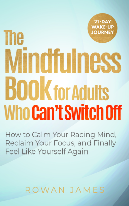 book cover for The Mindfulness Book for Adults Who Can’t Switch Off