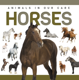 book cover for Horses