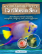 Cover Image: Incredible Creatures of the Caribbean Sea