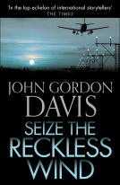book cover for Seize the Reckless Wind
