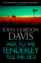 book cover for Talk to Me Tenderly, Tell Me Lies