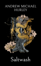 book cover for Saltwash