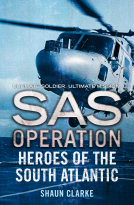 book cover for Heroes of the South Atlantic