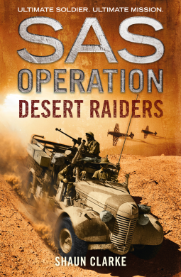 book cover for Desert Raiders