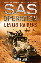 book cover for Desert Raiders