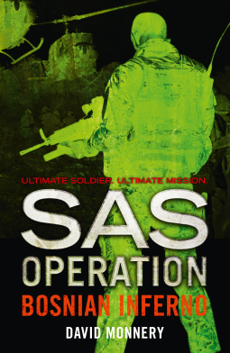 book cover for Bosnian Inferno