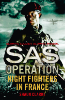 book cover for Night Fighters in France
