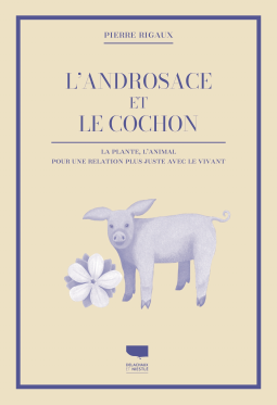 Couverture du livre pour L'Androsace et le cochon